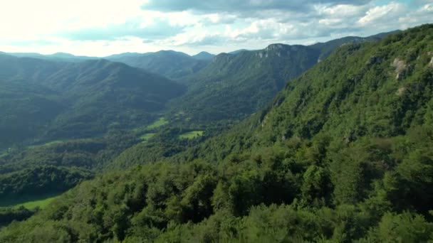 AERIAL: Widok z lotu ptaka na rozległą dolinę pokrytą bujną zielenią. — Wideo stockowe