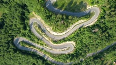 Tepenin yukarısında ve yemyeşil bir ormanın içinde boş bir yol üstü yılanı.