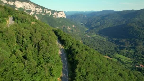 空気:山の道は緑豊かな森の中を走り、景色を覆います. — ストック動画