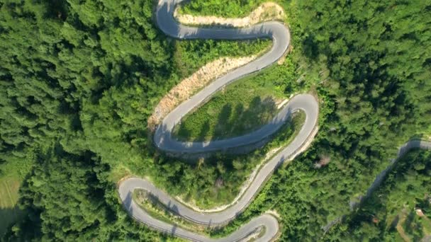 TOP DOWN: Mountain road full of sharp hairpin turns running across vibrant woods — Stock Video