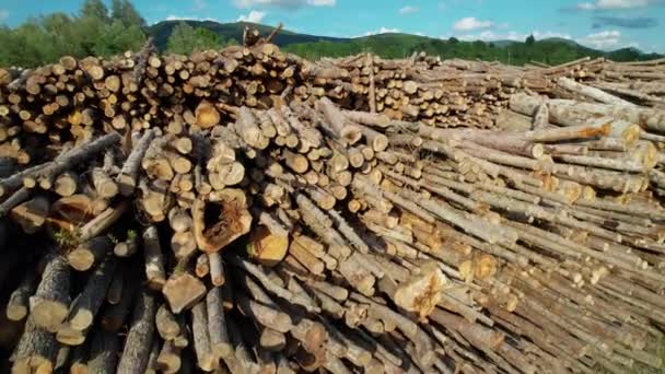 AERIAL: Vista de drones de innumerables troncos apilados y listos para su posterior producción — Vídeos de Stock