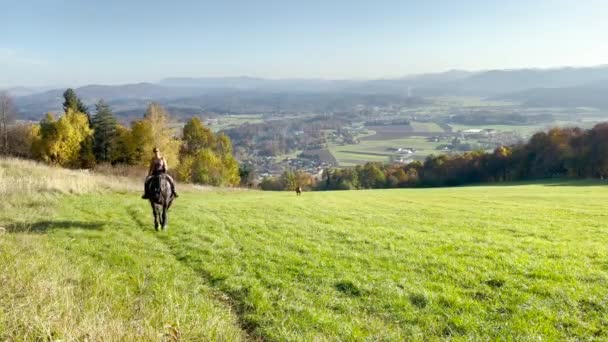 Vrolijke blanke vrouw rijdt op haar bruine paard een grazige heuvel op.. — Stockvideo