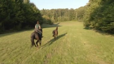 Genç bayan at binicisi altın gün batımında bir açıklıkta dörtnala gidiyor..