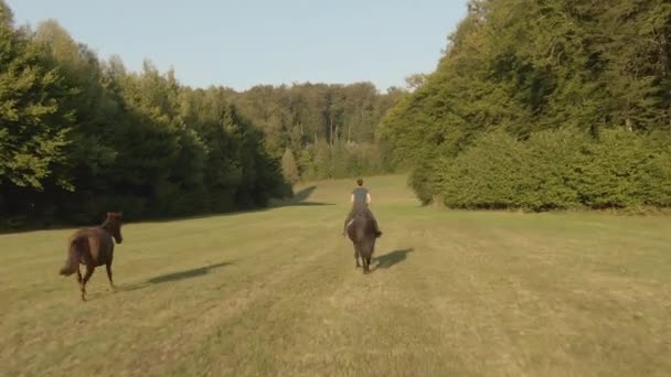空気:若い女性の乗馬ライダーは黄金の夕日でグレードダウンギャロップ. — ストック動画