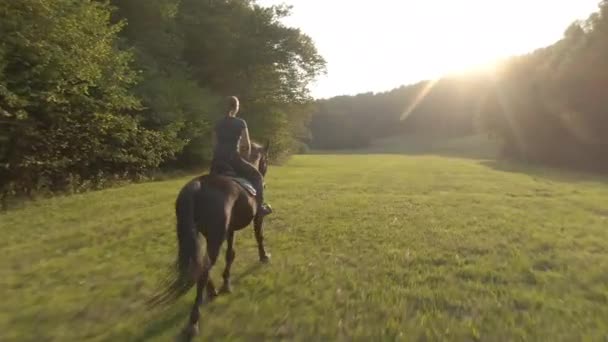 AERIAL:日の出に輝く女性乗馬ライダーのドローンポイント. — ストック動画
