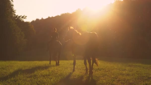 LENS FLARE : Des rayons de soleil dorés brillent sur un cavalier explorant la campagne. — Video