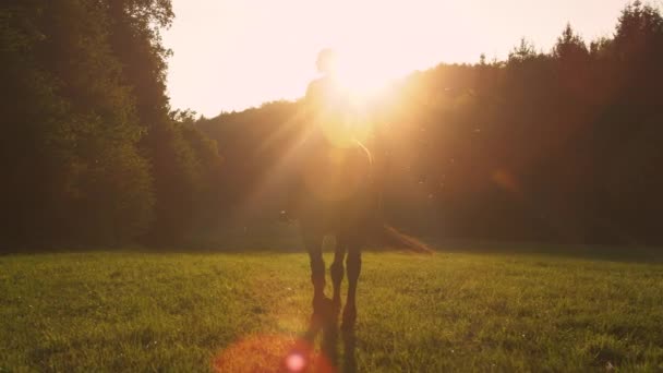 Oigenkännlig kvinna leder sin häst ut på ängen vid soluppgången.. — Stockvideo
