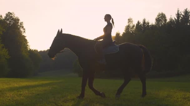 SILHOUETTE: Giovane donna cavalca il suo cavallo attraverso un prato illuminato dal sole all'alba. — Video Stock