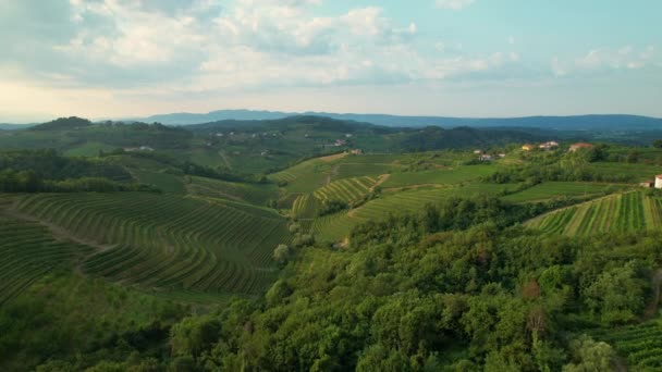 AERIAL: Vista aérea pitoresca da região vinícola Goriska Brda numa manhã ensolarada. — Vídeo de Stock