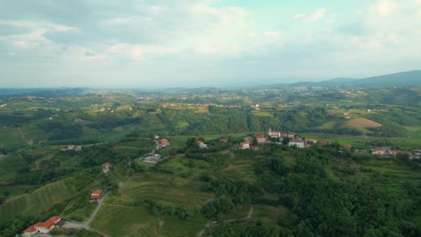 AERIAL: Latanie nad rozległymi zielonymi regionami winiarskimi Goriska Brda, Słowenia. — Wideo stockowe