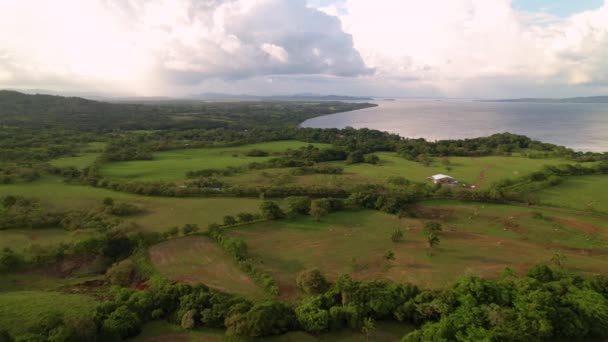 AERIAL: Volando sobre grandes pastos verdes y vacas pastando hacia la costa del océano — Vídeos de Stock