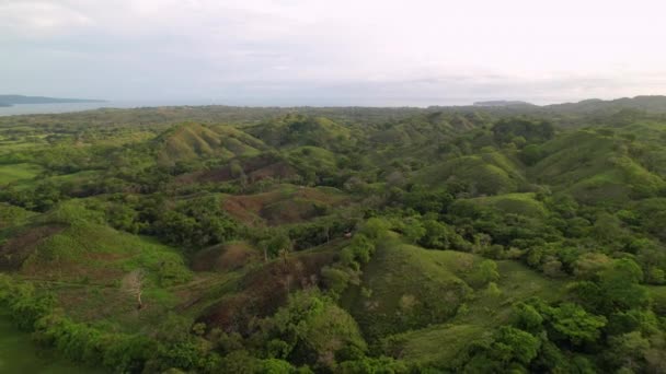 AERIAL: Campo exótico exuberante con colinas y valles para fines de pastoreo — Vídeos de Stock