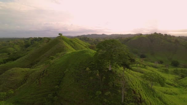 AERIAL: Wspaniały zielony krajobraz ze wzgórzami i dolinami w tropikalnej okolicy — Wideo stockowe
