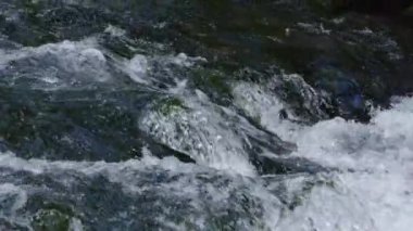 Nehrin akış ve kasvetli ormanlık alana sıçrayışının detaylı görüntüsü. Bir ormanın içinden akan nehir kasvetli bir doğal manzara yaratır. Kristal berrak nehir akıntıları sıçrıyor.