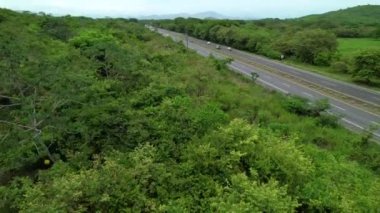 Panama 'nın kırsal kesiminde kalabalık bir otobanı çevreleyen gür orman yaprakları. Büyük 18 tekerlekli araçlar Panamerikan otoyolu boyunca gidiyor. Dünyaca ünlü Panamericana 'nın insansız hava aracı çekimi.