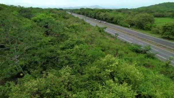 緑豊かなジャングルの葉は パナマの農村部の忙しい高速道路を取り囲みます 大きな18輪車や車は 風光明媚なアメリカの高速道路に沿って駆動します 世界的に有名なパナメリカナのドローン撮影 — ストック動画