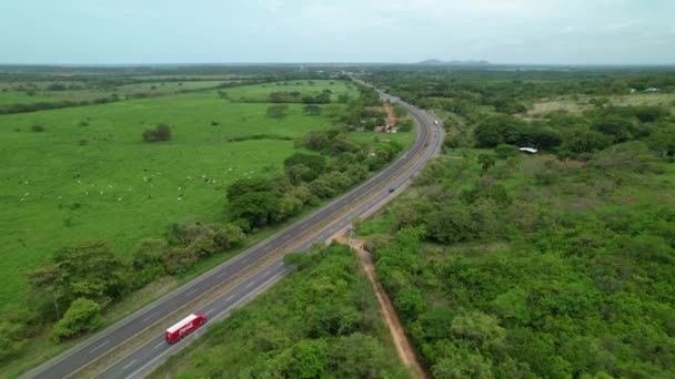 Panama City Panama Maj 2021 Aerial Jasnoczerwony Samochód Coca Cola — Wideo stockowe