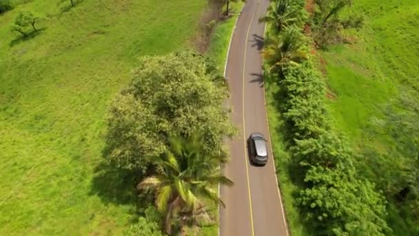 Close Golden Sunbeams Shine Rear Window Car Driving Freeway — Stock Video