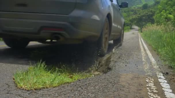 Zamknij Złote Promienie Słońca Świecą Przez Tylną Szybę Samochodu Jadącego — Wideo stockowe