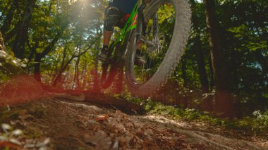 LOW ANGLE, CLOSE UP, SUN FLARE: Bright summer sunbeams shine on the adrenaline seeking mountain biker as he jumps in air while riding through the forest. Unrecognizable man mountain biking in woods.