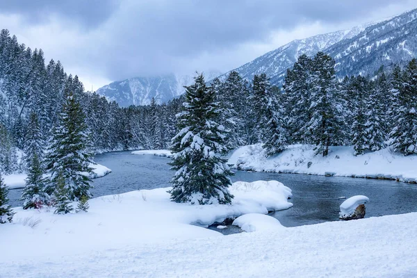 Aerial Large River Flows Forest Covered Valley Wintry Alberta Beautiful — Stock Photo, Image