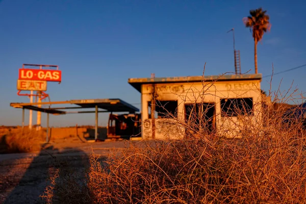 Close Dof Detailed Shot Dry Shrub Front Abandoned Gas Station — Fotografia de Stock
