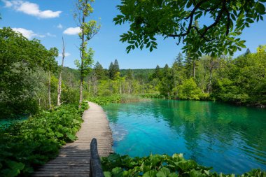 Küresel koronavirüs salgını nedeniyle turistler için Plitvice Ulusal Parkı manzarası kapandı. Boş ahşap yürüyüş yolu Plitvice Gölleri parkının verimli ormanlarının ortasındaki renkli zümrüt göletlerinin yanından geçiyor..