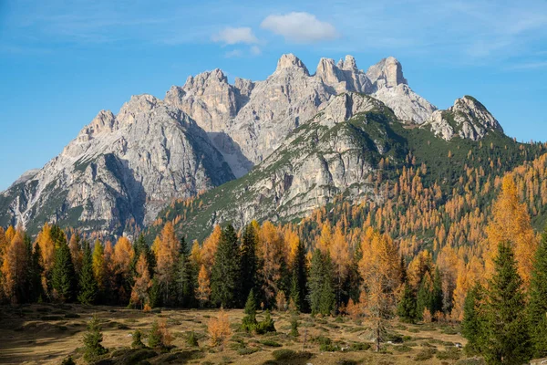Чудова Скеляста Гора Доломітах Здіймається Над Мальовничим Лісом Восени Уявіть — стокове фото