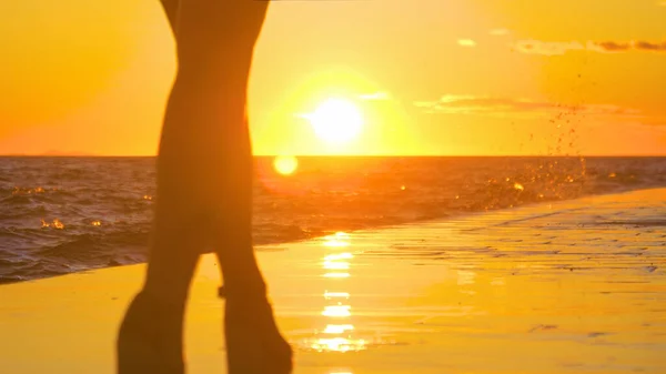 Low Angle Silhouette Close Lens Flare Dof Golden Summer Sunset — Stock Photo, Image