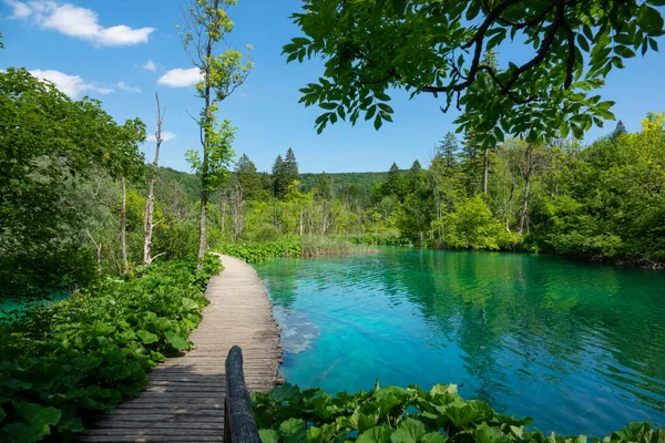 มมองท สวยงามของอ ทยานแห งชาต Plitvice าหร องเท ยวเน องจากการระบาดของไวร สโคโรนาท — ภาพถ่ายสต็อก