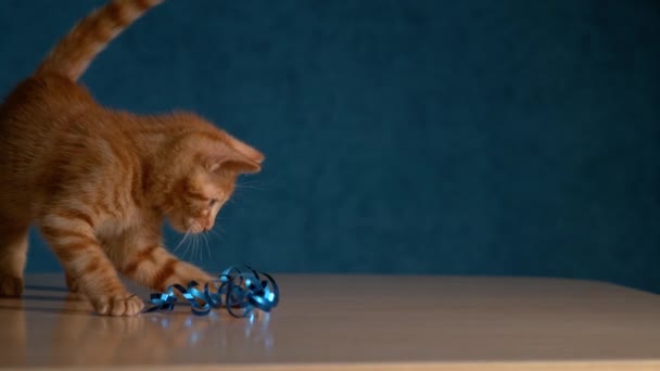 Slow Motion Close Leuke Harige Gember Kitty Speelt Met Een — Stockvideo