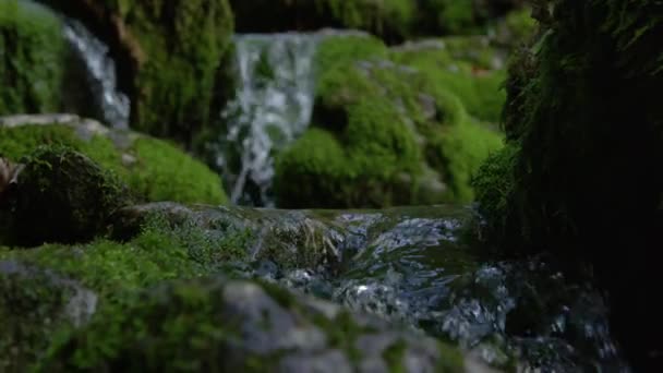 Slow Motion Close Dof Glassy River Water Flows Mossy Stones — Stock Video