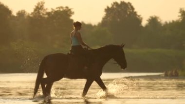 SLOW MOTION: Young Caucasian woman riding a horse crosses a shallow river at golden sunrise. Female horseback rider takes her stallion into the river water to cool off from the summer evening heat.