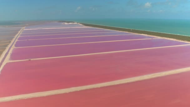 Aerial Flying Breathtaking Pink Colored Lagoons Famous Las Coloradas Salt — Stock Video