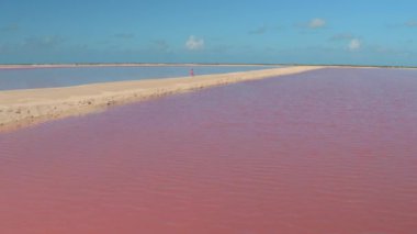 Beyaz kadın yaz tatilinde Las Coloradas 'ın manzaralı tuz tarlalarını keşfediyor. Genç bayan turist güneşli bir günde Yucatan 'ın ünlü pembe göllerinden geçerken boş toprak bir yolda yürüyor..