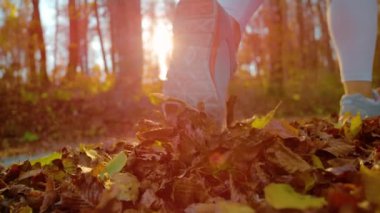 Dişi koşucu, kuru yapraklarla kaplı orman patikalarında koşar, yavaş hareket eder, lensler alev alır, yaklaşır. Atletik kadın, güzel bir sonbahar akşamı ormanda koşarken yaprakları döküyor..