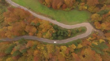 Ekim ayında yaprak döken canlı bir ormanı geçerken, tek başına turist otomobili rahat bir şekilde yol alır. Renkli Slovenya ormanlarında manzaralı bir arabayla uçmak.