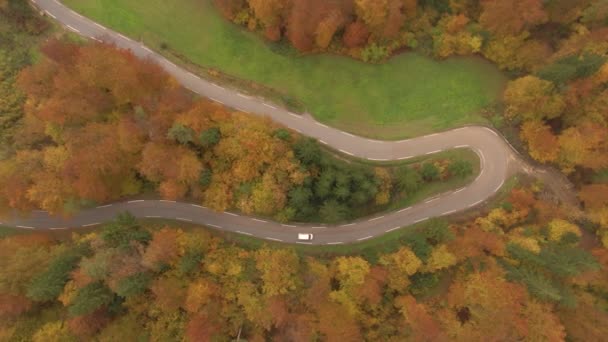 Aerial Top Samotny Samochód Turystyczny Spokojnie Jedzie Drodze Zwrotnej Przez — Wideo stockowe
