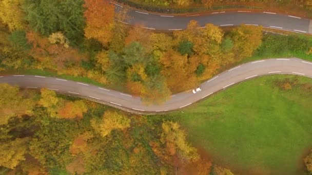 无人驾驶飞机拍摄的旅游车辆驾驶在生动的秋天彩色斯洛文尼亚农村 10月的一个多雾的日子里 汽车沿着空旷的道路巡游 穿过森林 树叶不断变化 — 图库视频影像