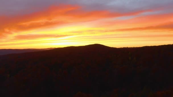 Aerial Zapierający Dech Piersiach Widok Złote Słońce Zachodzące Jesiennym Lasem — Wideo stockowe