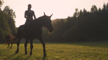SLOW MOTION, LOW ANGLE, LENS FLARE: Young Caucasian woman leads her horses into a goldenlit meadow. Scenic shot of a female horseback rider exploring the vibrant countryside at quiet summer sunset.