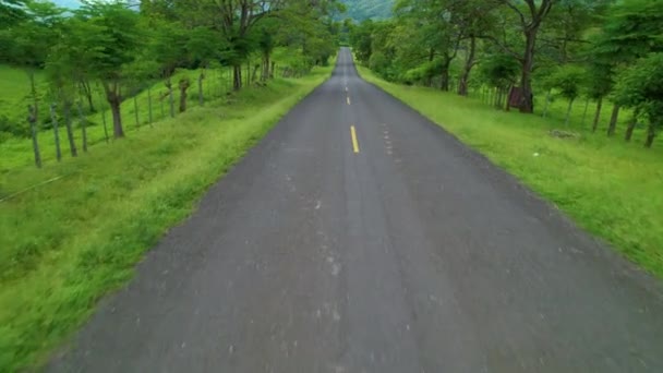 Aerial Flying Empty Asphalt Road Crossing Lush Green Countryside Central — Stock Video