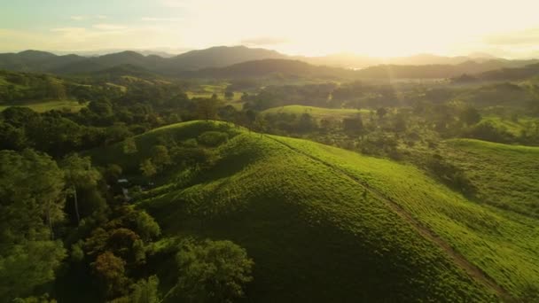 Aerial Lecąc Tyłem Nad Bujną Zielenią Tropikalny Krajobraz Piękny Mglisty — Wideo stockowe