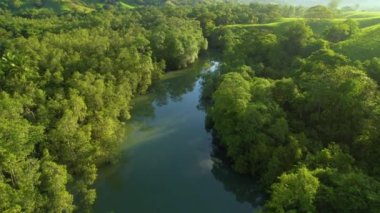 Güneşli bir günde yemyeşil yağmur ormanlarında ve çimenli tepelerde dolaşan sakin bir nehir. Tembel derelerin ve yeşil ağaçların üzerinde uçuyorlar. Panama 'nın çarpıcı güzelliği..