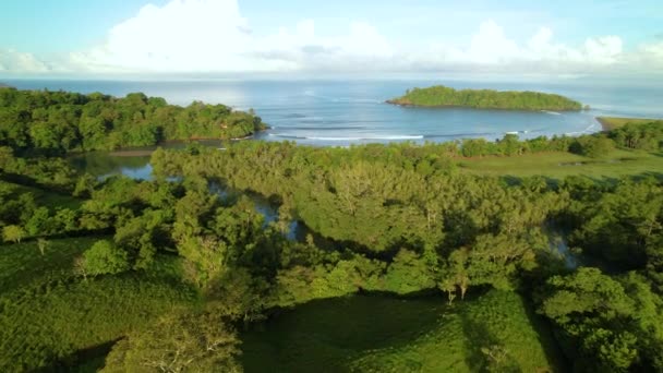 Aerial Latanie Nad Odpływem Rzeki Dżungli Zielone Drzewa Kierunku Plaży — Wideo stockowe