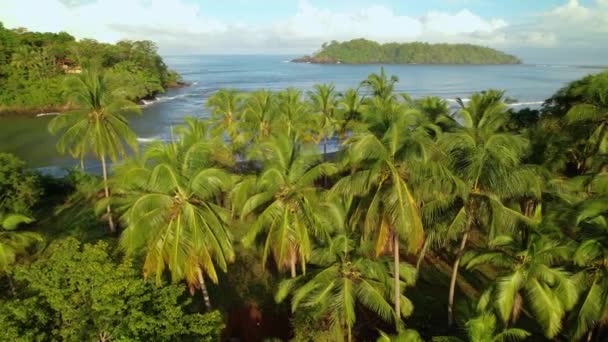 ヤシの木に沿ってサイドフライトが壊れ波と砂浜の海のビーチを明らかにします エキゾチックな熱帯海岸線の空中ビュー パナマの美しく穏やかな晴れた朝の風景 — ストック動画