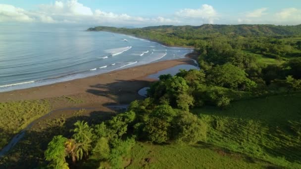 Aerial Latanie Wzdłuż Tropikalnej Piaszczystej Plaży Otoczonej Palmami Falami Oceanicznymi — Wideo stockowe