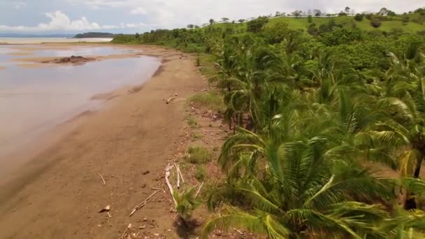 Aerial Volando Largo Playa Tropical Sobre Escombros Palmeras Después Tormenta — Vídeo de stock