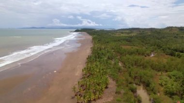 Fırtına enkazı ve palmiye ağaçları üzerinde tropikal plajlar boyunca uçmak. Panama 'da fırtınadan sonra çamurlu okyanus suyuyla tropikal sahilin havadan görünüşü. Drone uçağı kumlu bir sahilde fırtına enkazı gösteriyor..