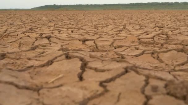 Close Groot Oppervlak Van Gebarsten Grond Veroorzaakt Door Lange Tocht — Stockvideo